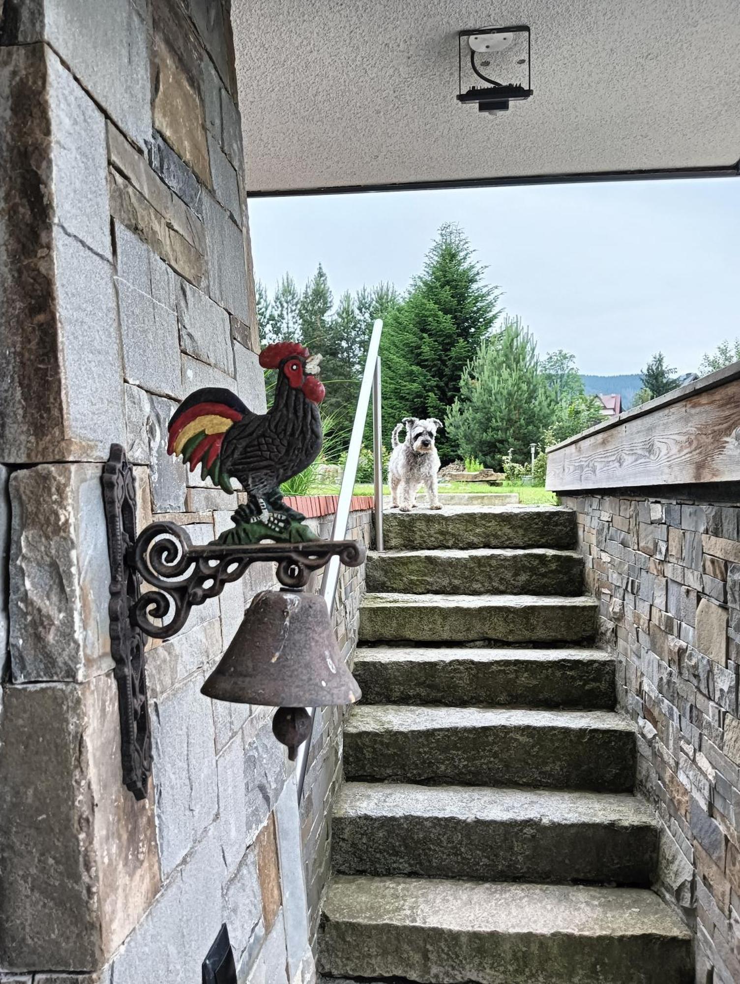 Apartament Nad Stawem Zakopane Extérieur photo